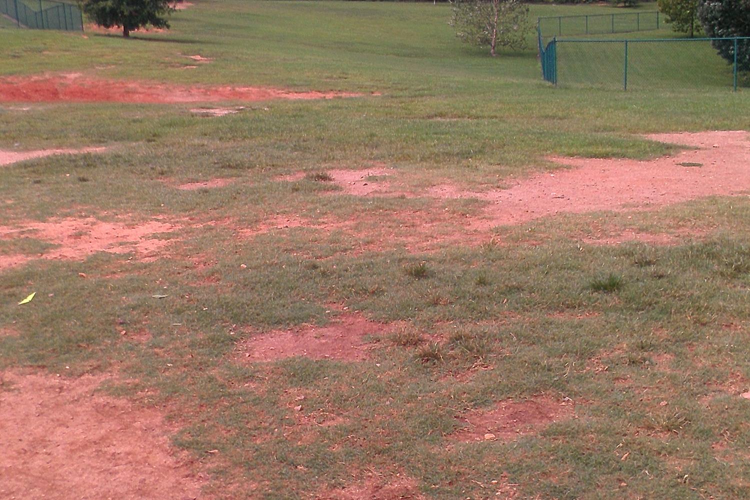 Flaherty Dog Park 3