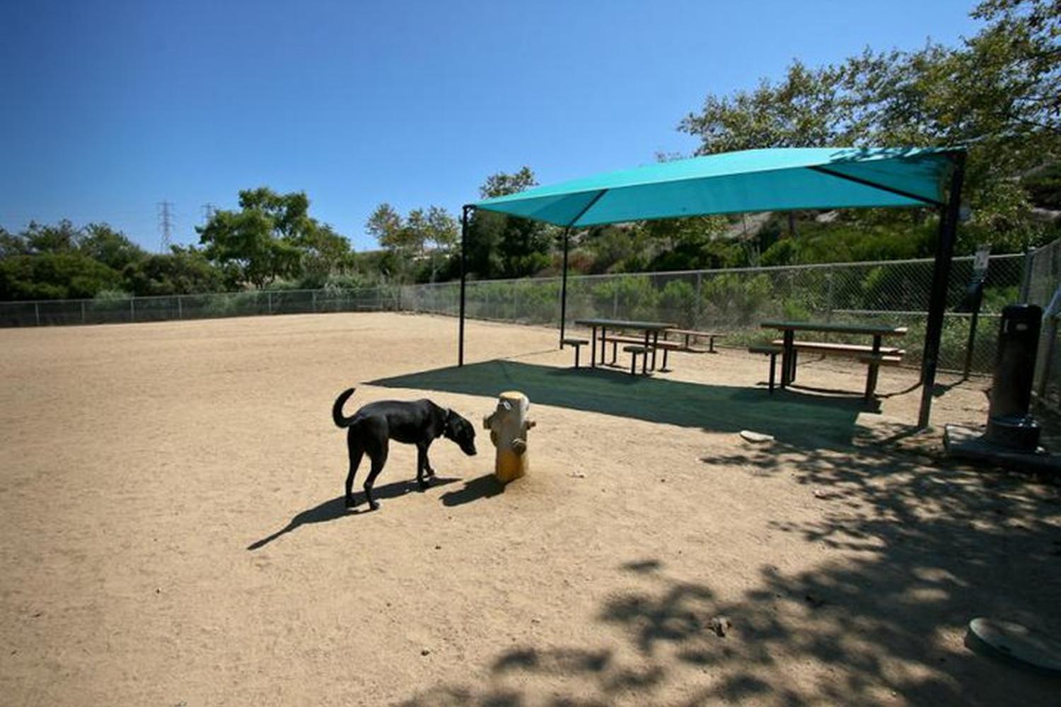 San Clemente Dog Park 2