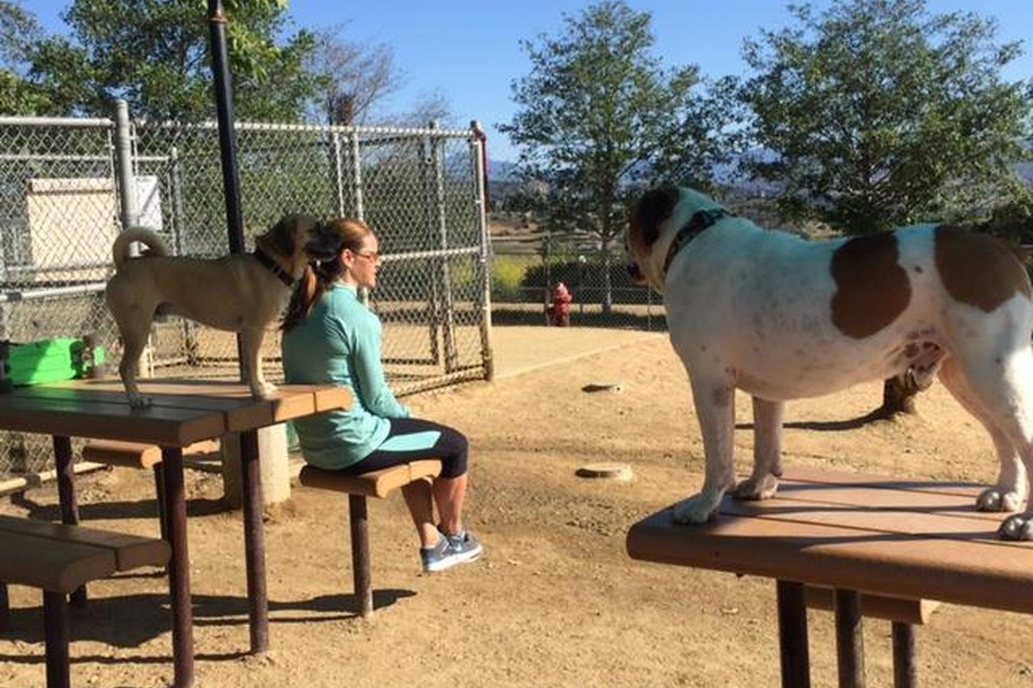 San Clemente Dog Park 3