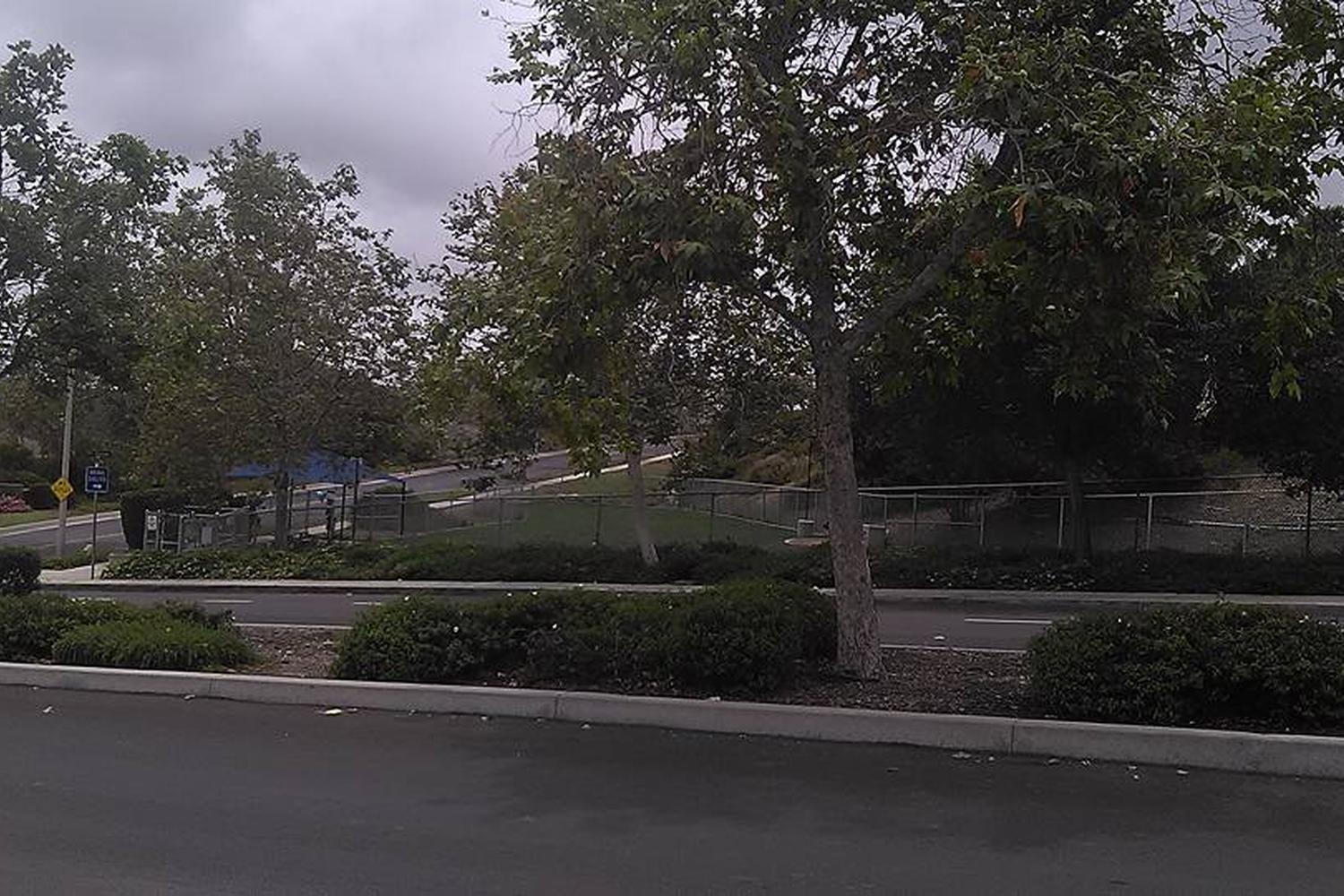 San Clemente Dog Park 1