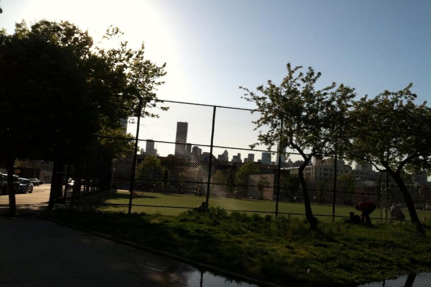 Murray Playground Dog Run 5