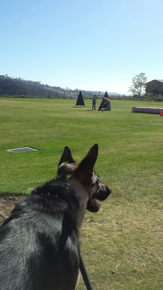 Trancas Canyon Dog Park 5