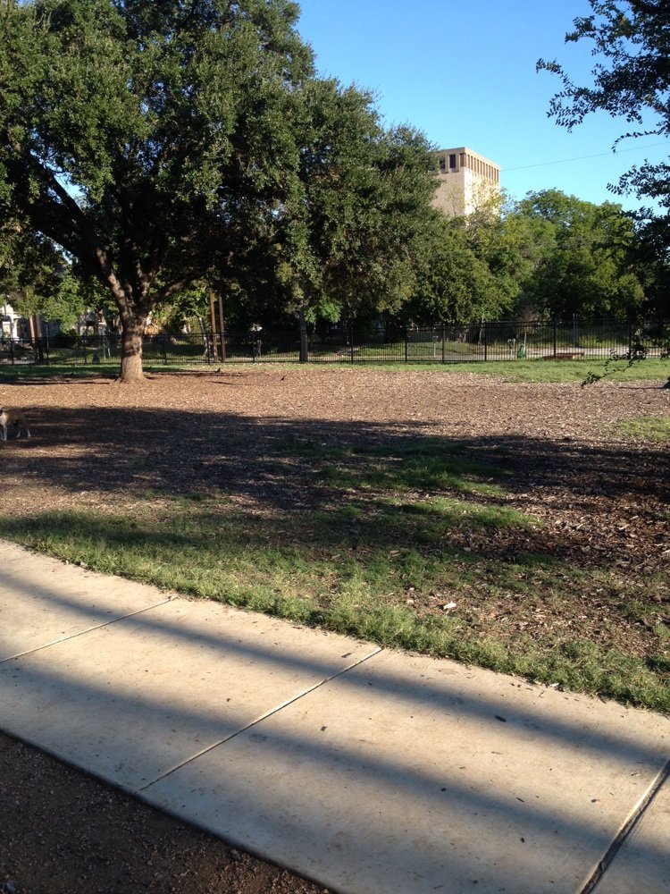 Madison Square Dog Park  6
