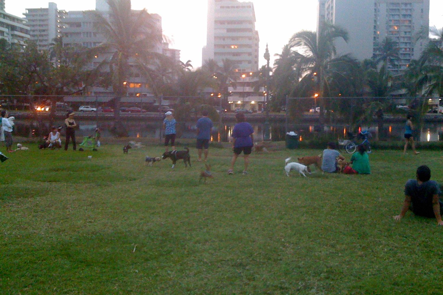 Ala Wai Dog Park 4
