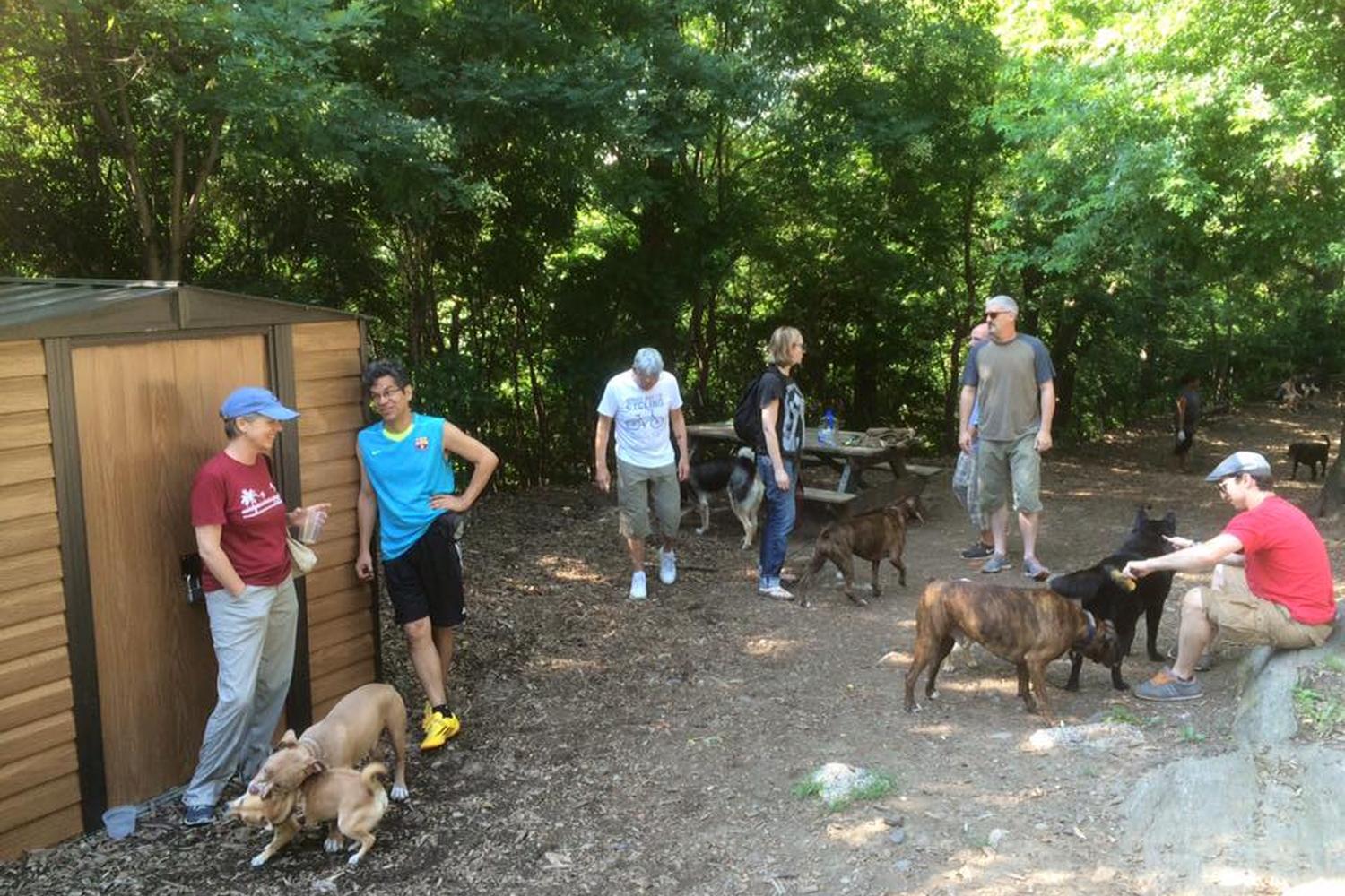 St. Nicholas Dog Park 3