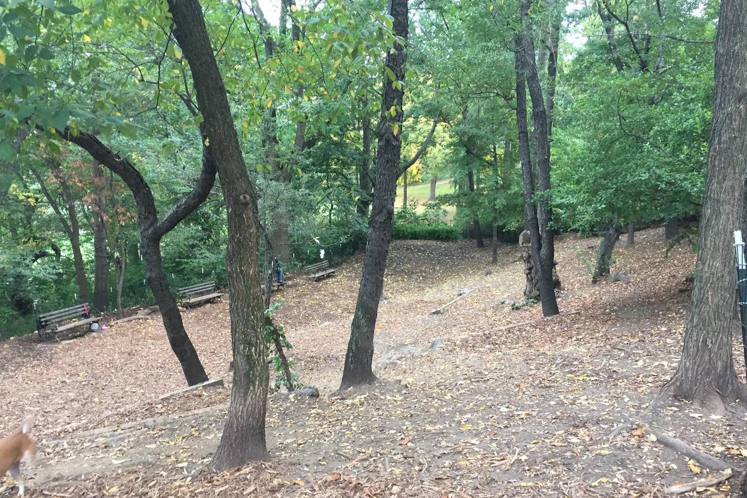 St. Nicholas Dog Park 1