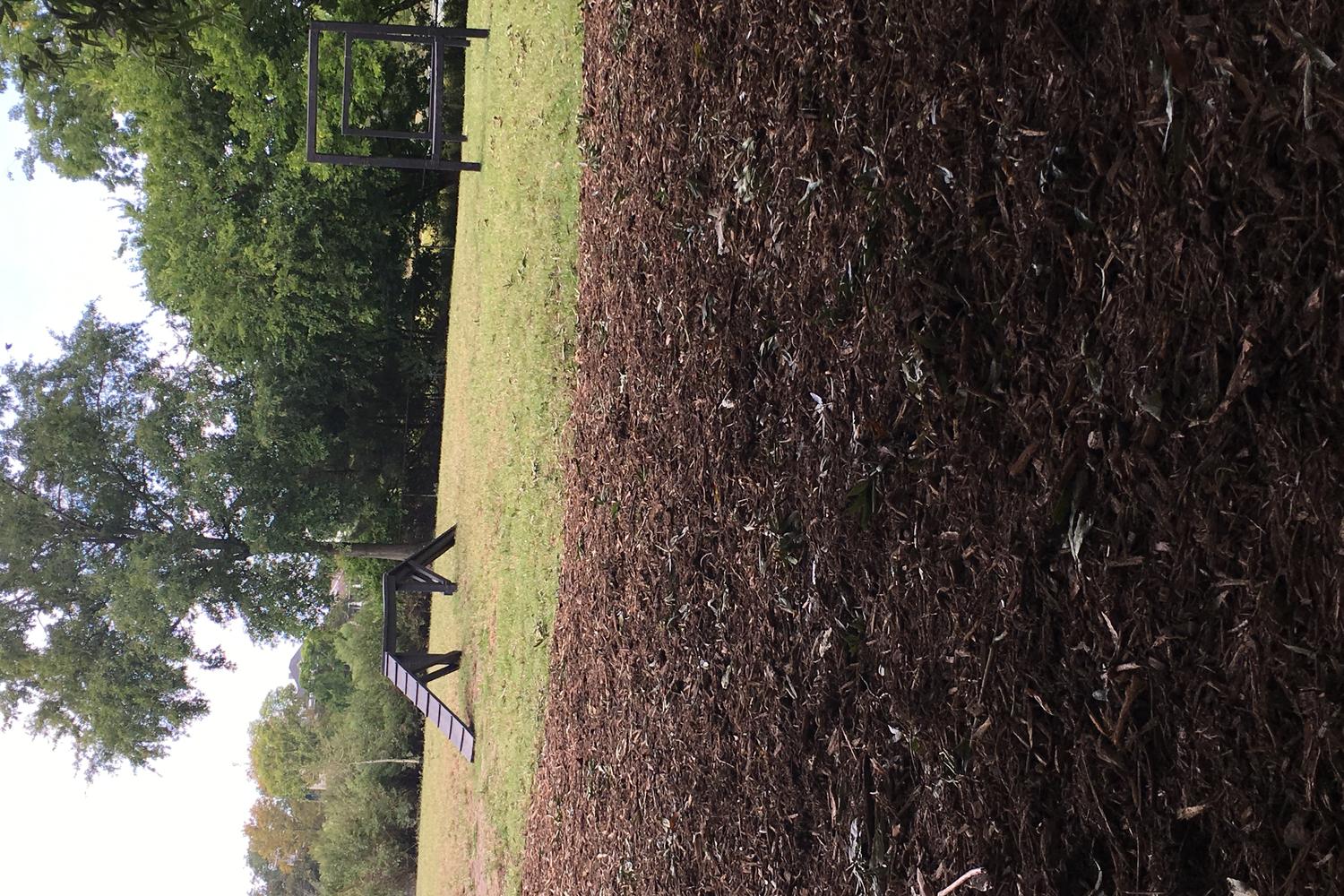 Lafayette Dog Park 0