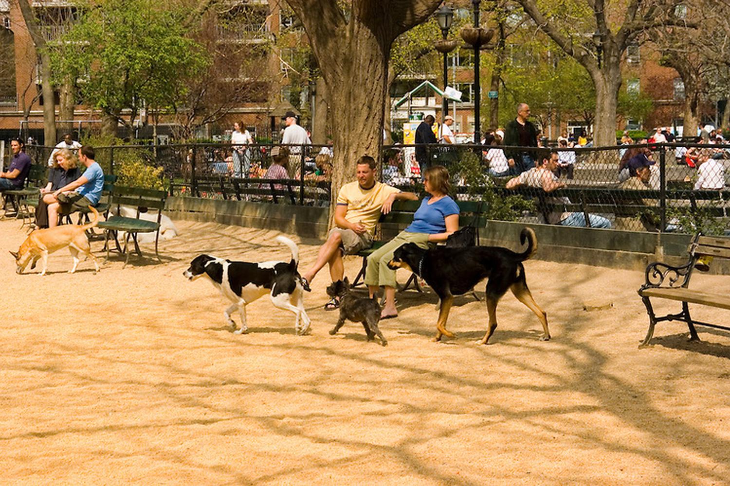 Leroy Street Dog Park 2