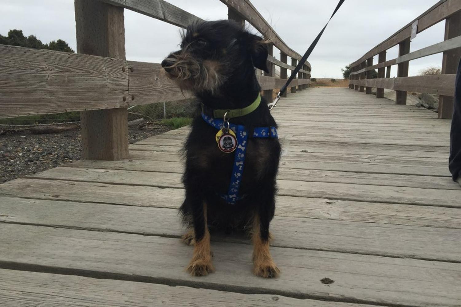 Hayward Regional Shoreline 0