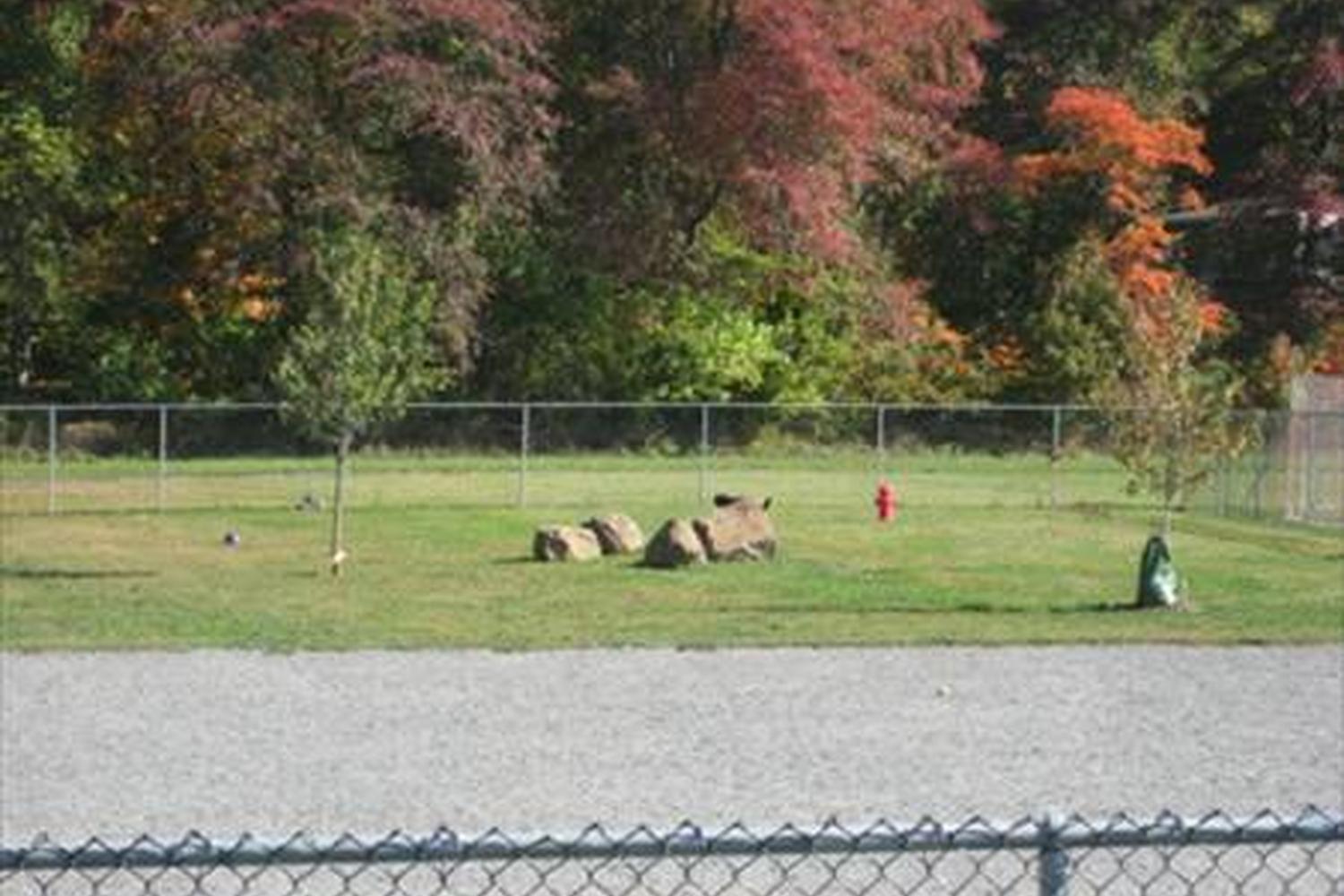 North Brunswick Community Dog Park 3