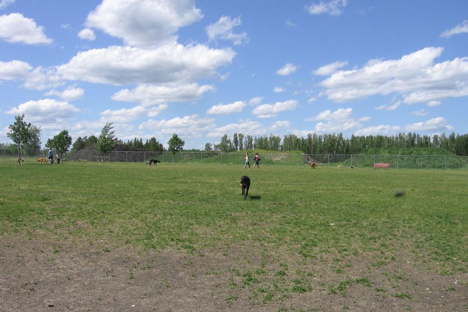 Yunker Farm Dog Park 4