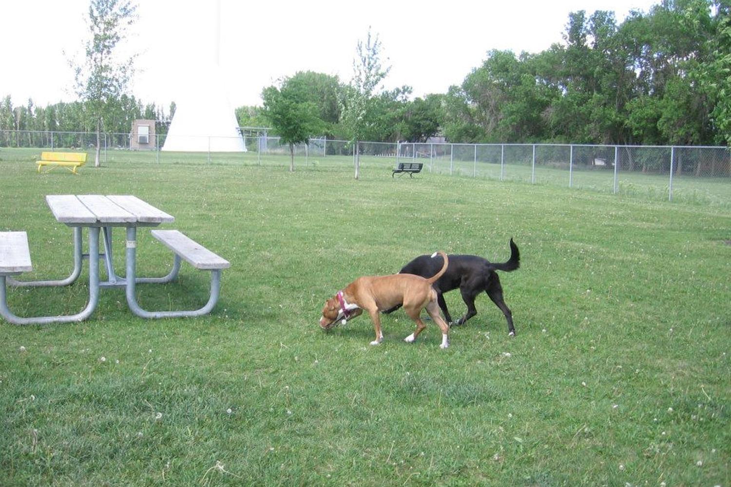Yunker Farm Dog Park 2