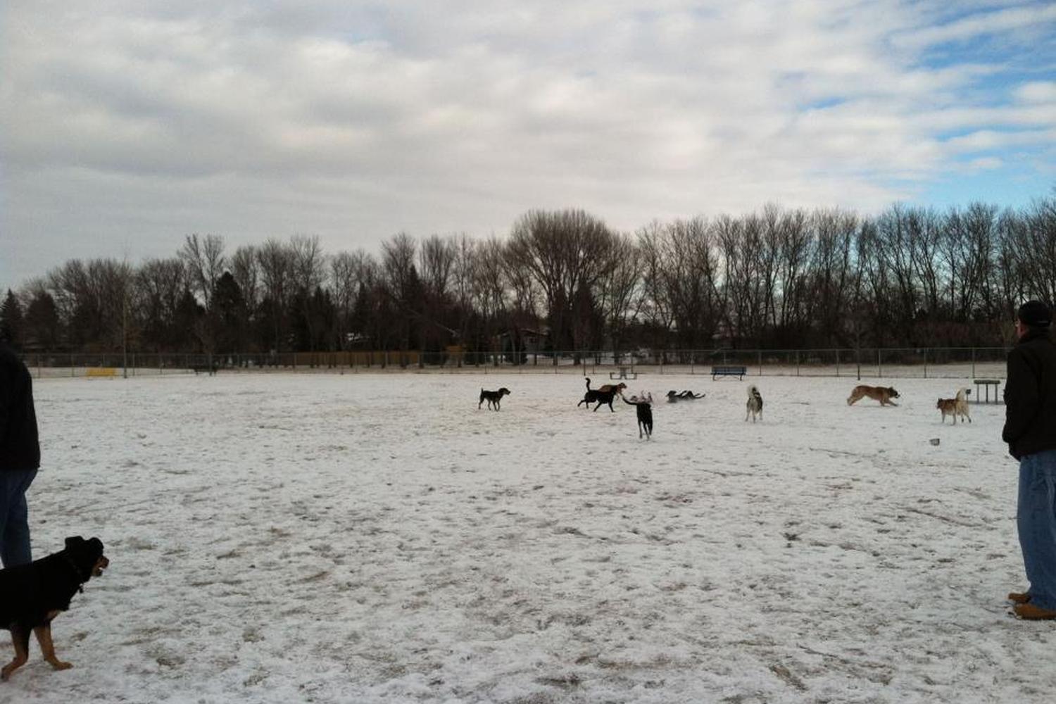 Yunker Farm Dog Park 1