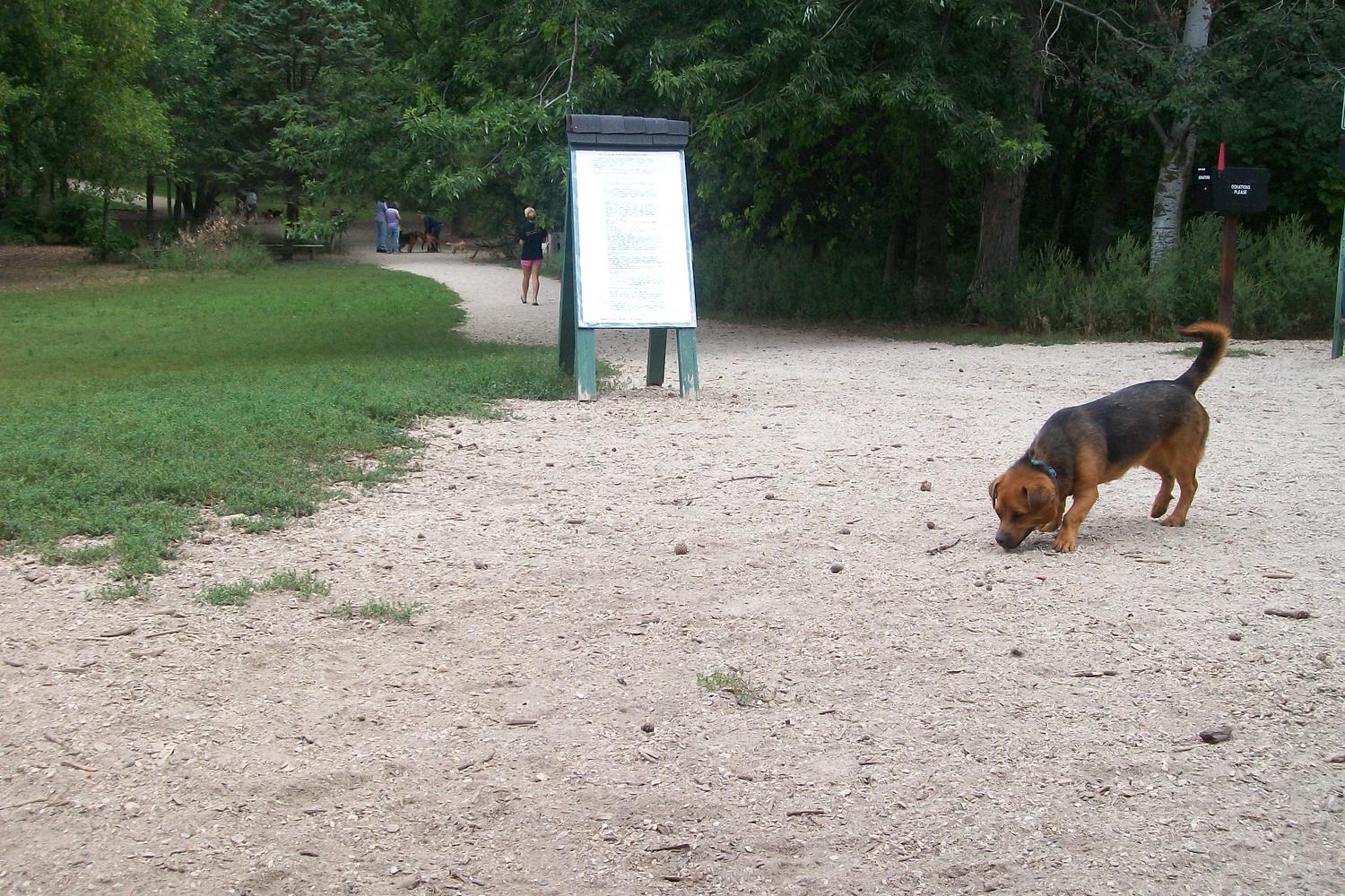 Muttland Meadows Dog Park at Lime Kiln Park 2