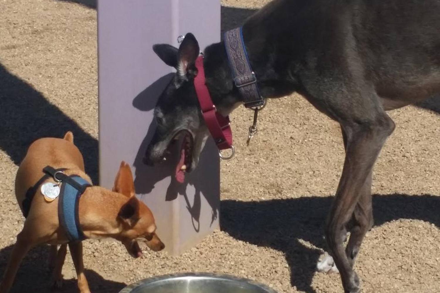 Purple Heart Park - Ivan's Spot 2