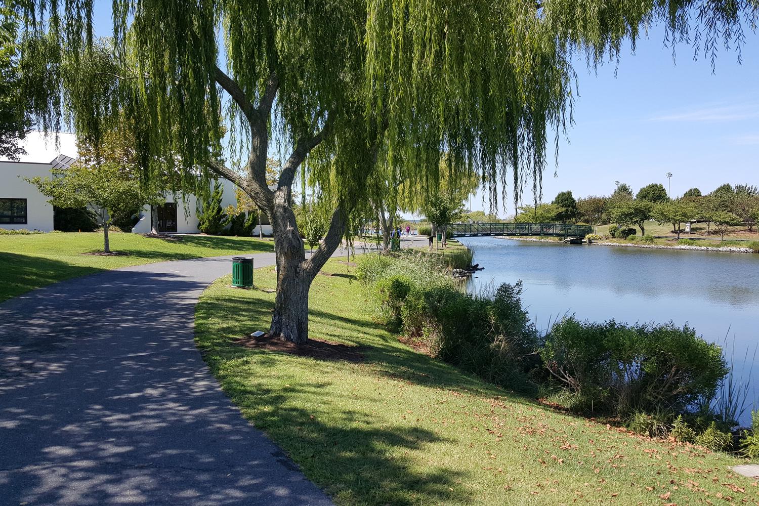 Northside Park 1