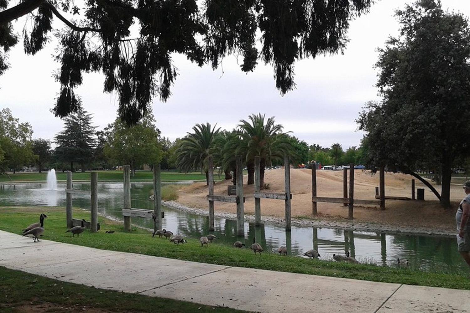 Elk Grove Dog Park 2