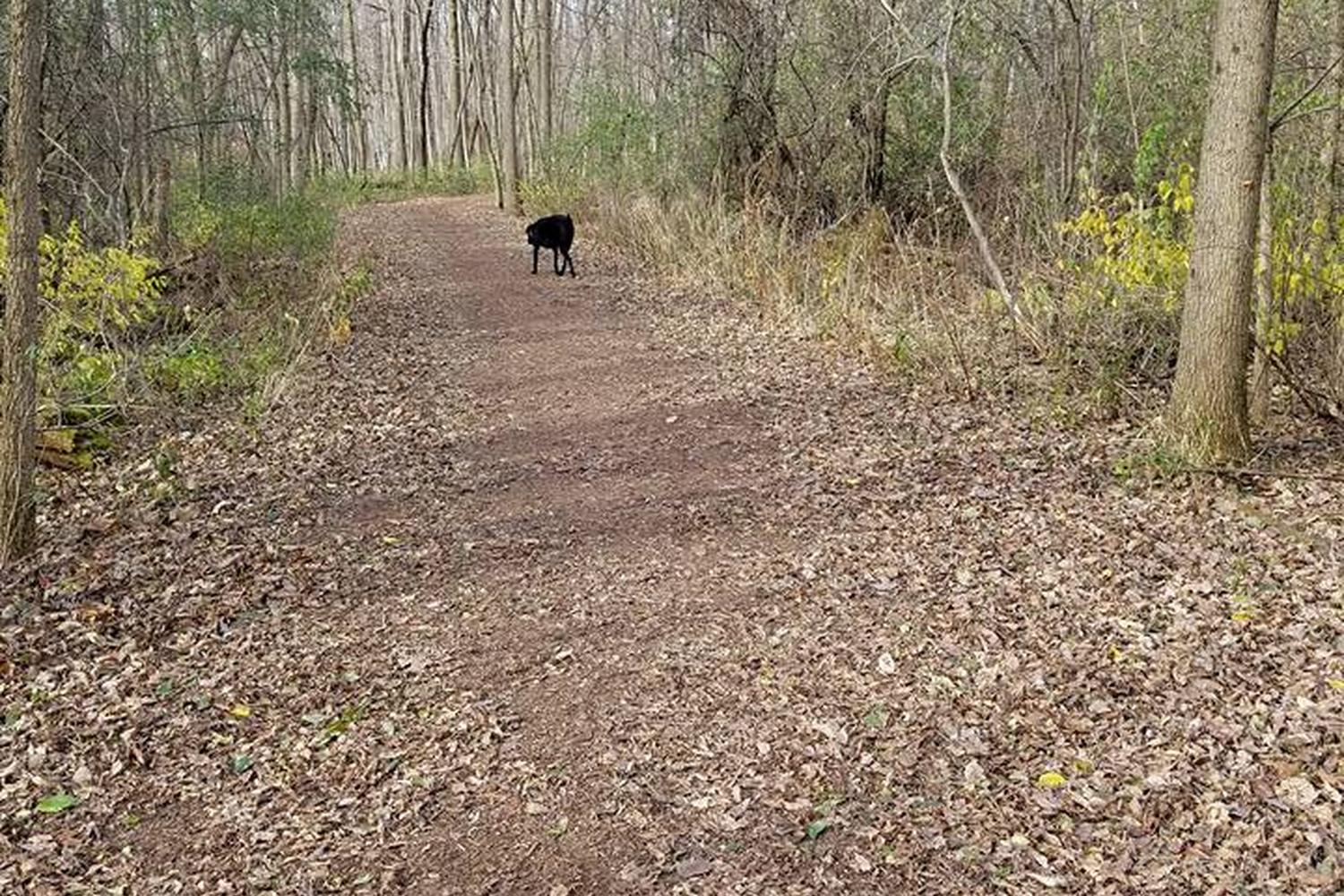 Stigler Nature Preserve 0