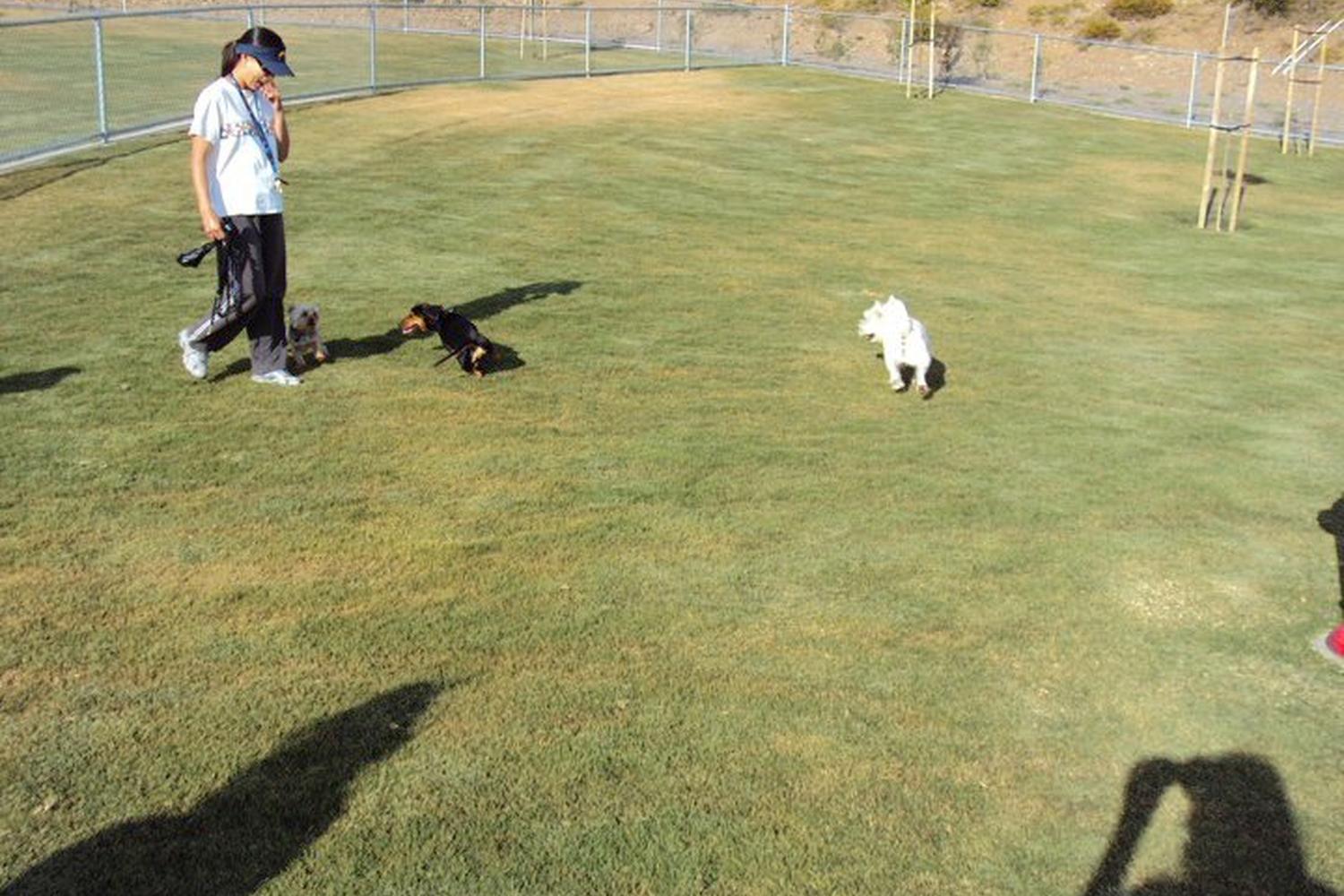 Mount San Miguel Dog Park 4