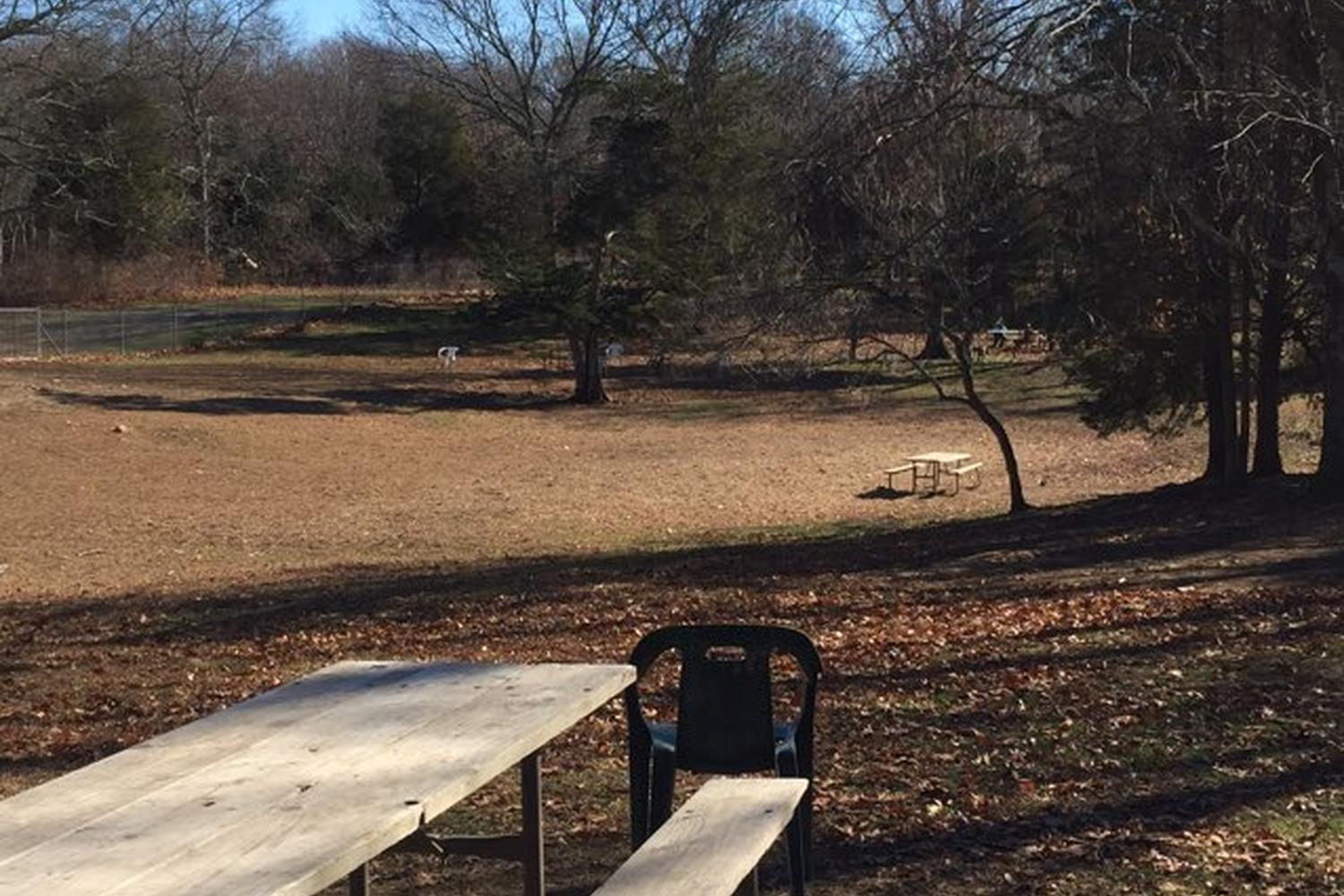 Central Bark Dog Park at Copp Family Park 0