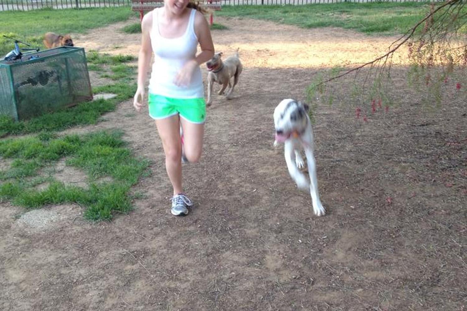 Loma Linda Dog Park 1