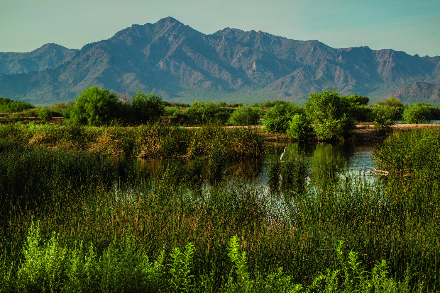 Tres Rios Wetlands 0