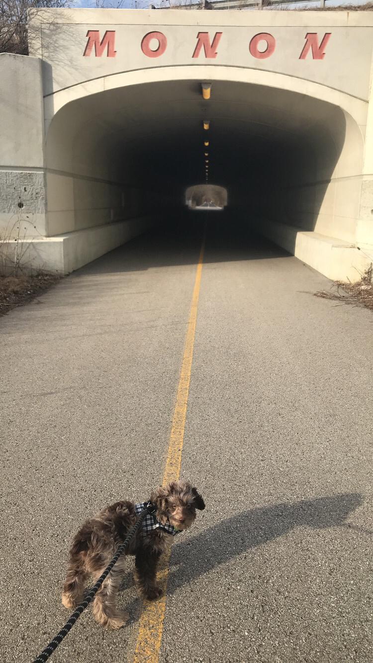 Monon Trail 4