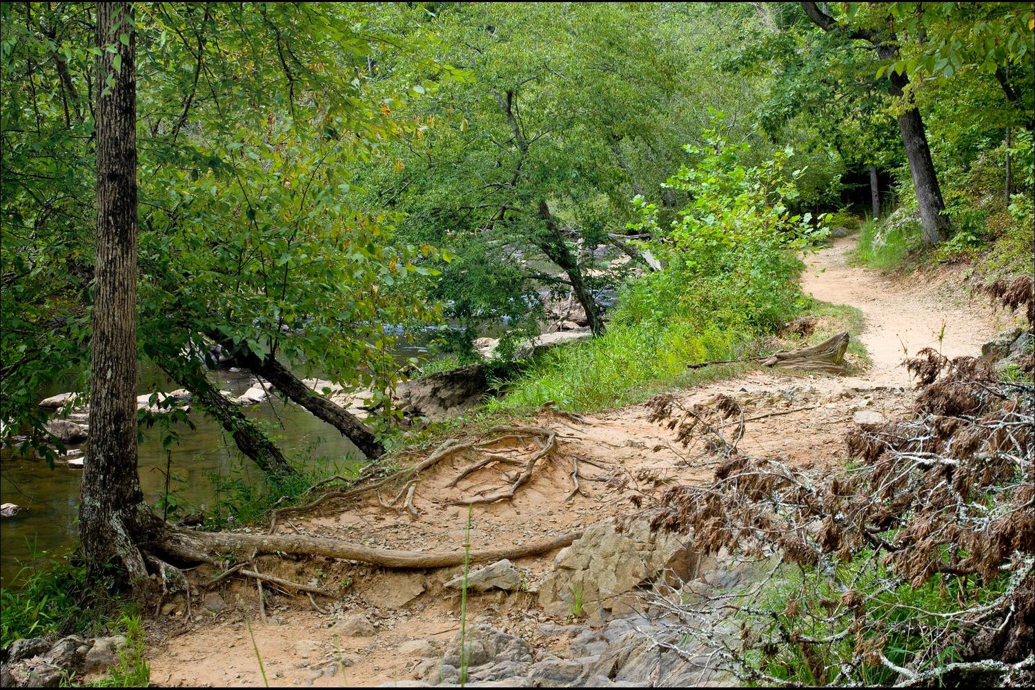 Buckquarter Creek Trail 5