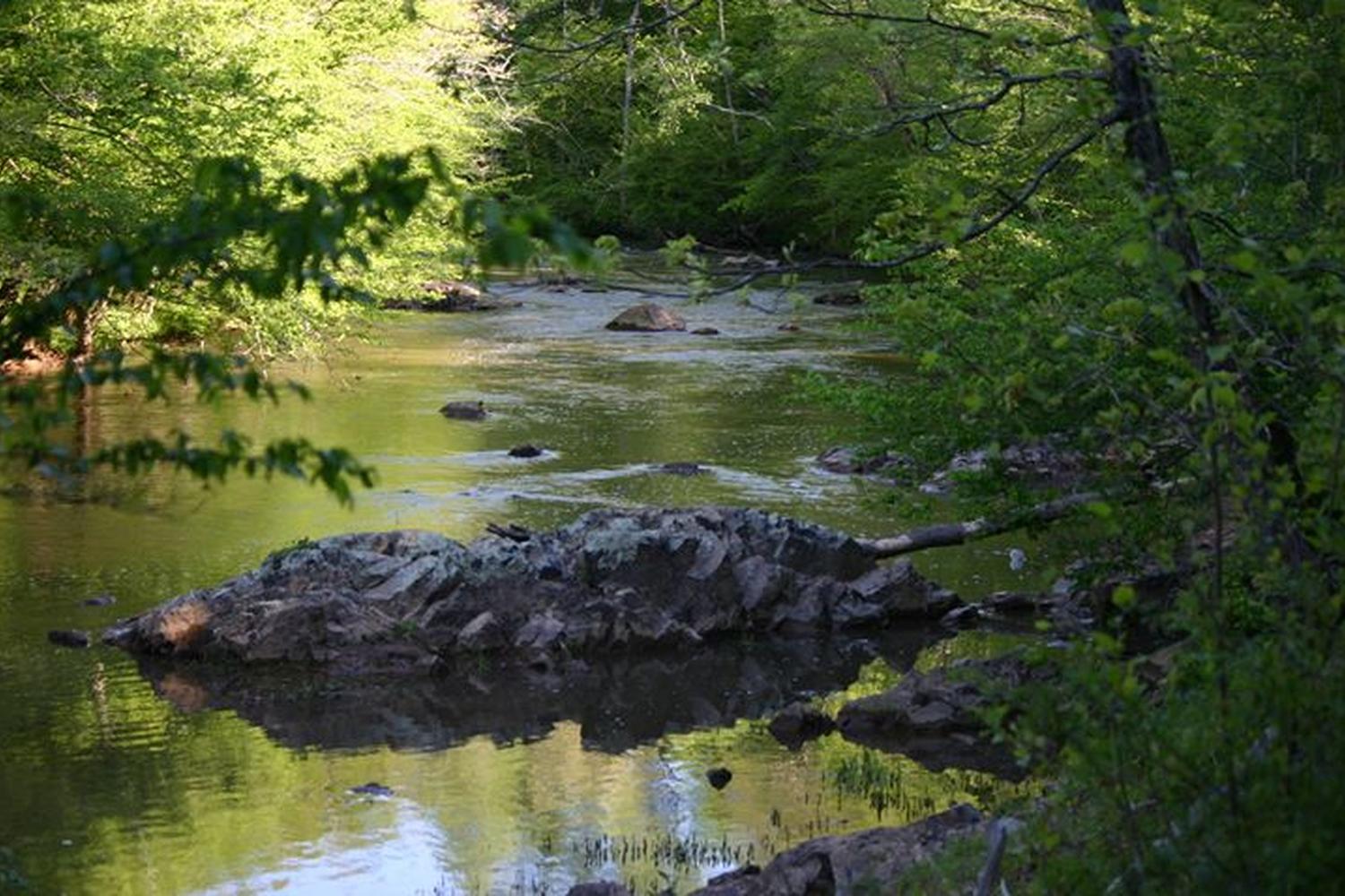 Buckquarter Creek Trail 4