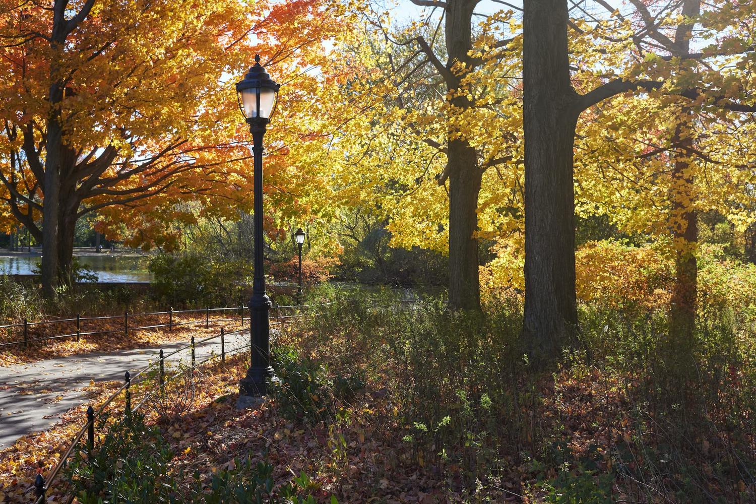 Prospect Park Trail 3