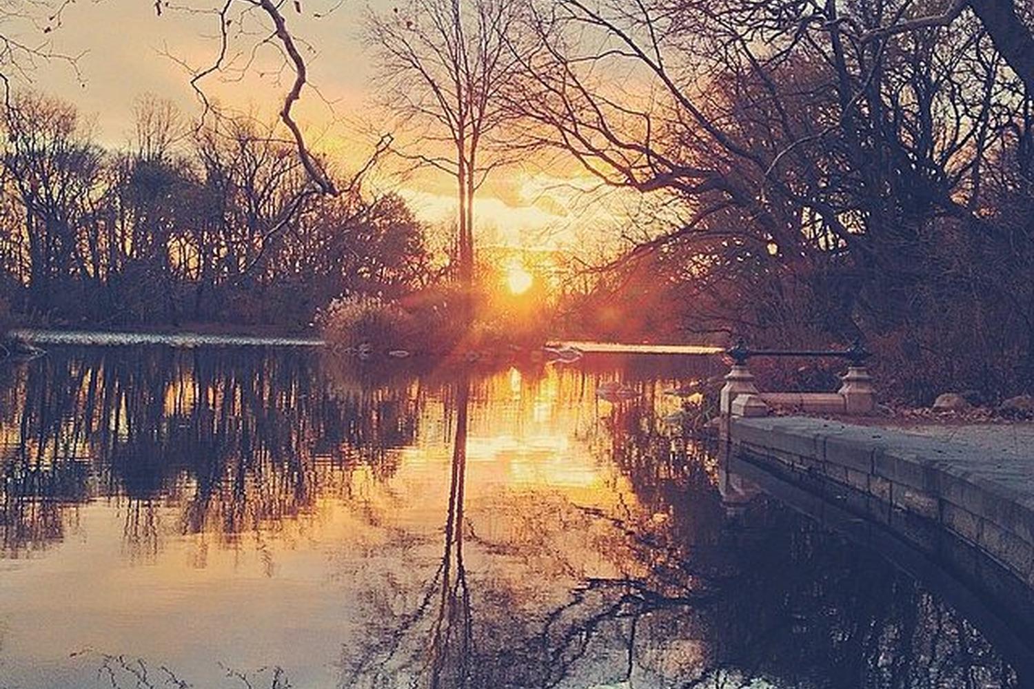 Prospect Park Trail 2