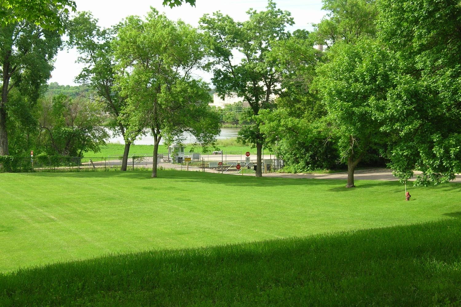 Black Dog Park 1