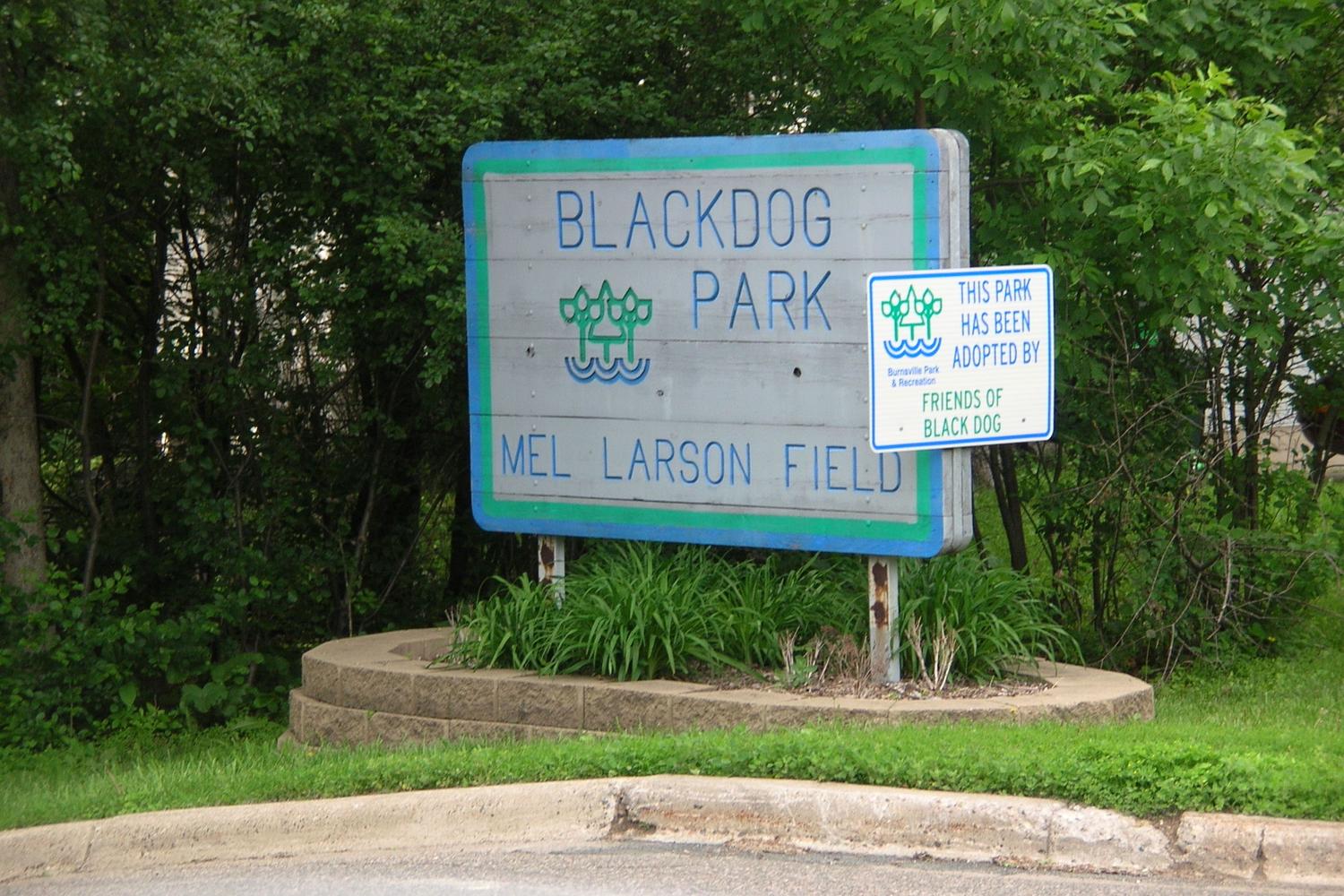 Black Dog Park 3