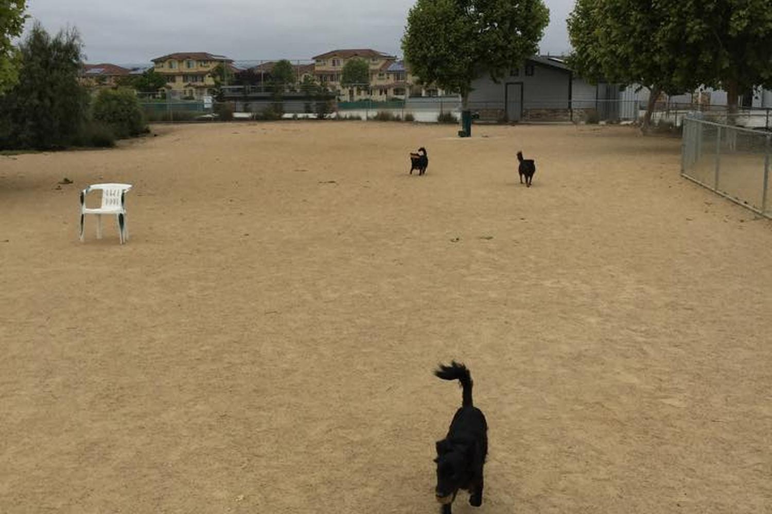 Martin J. Franich Park 6