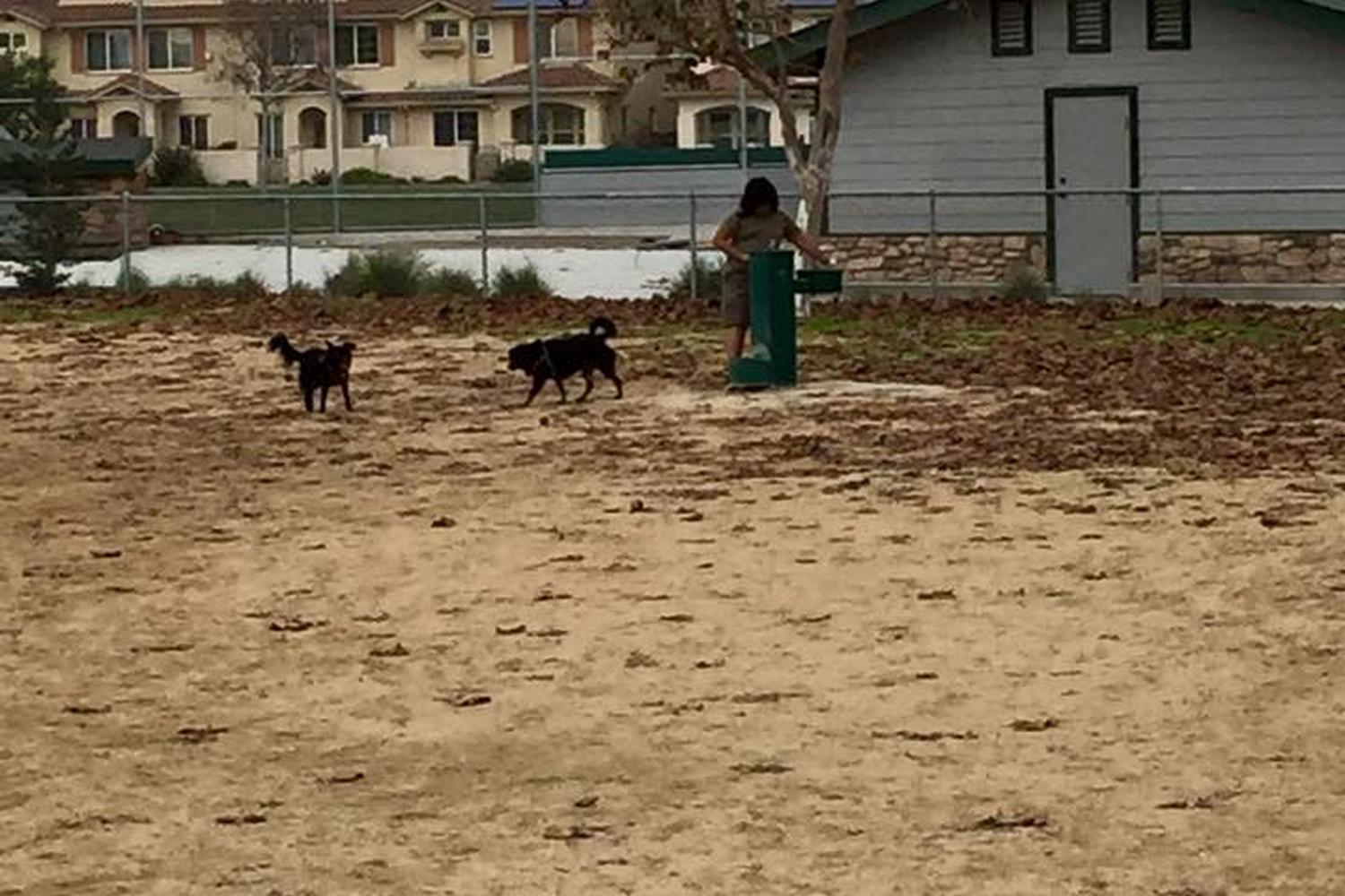 Martin J. Franich Park 3
