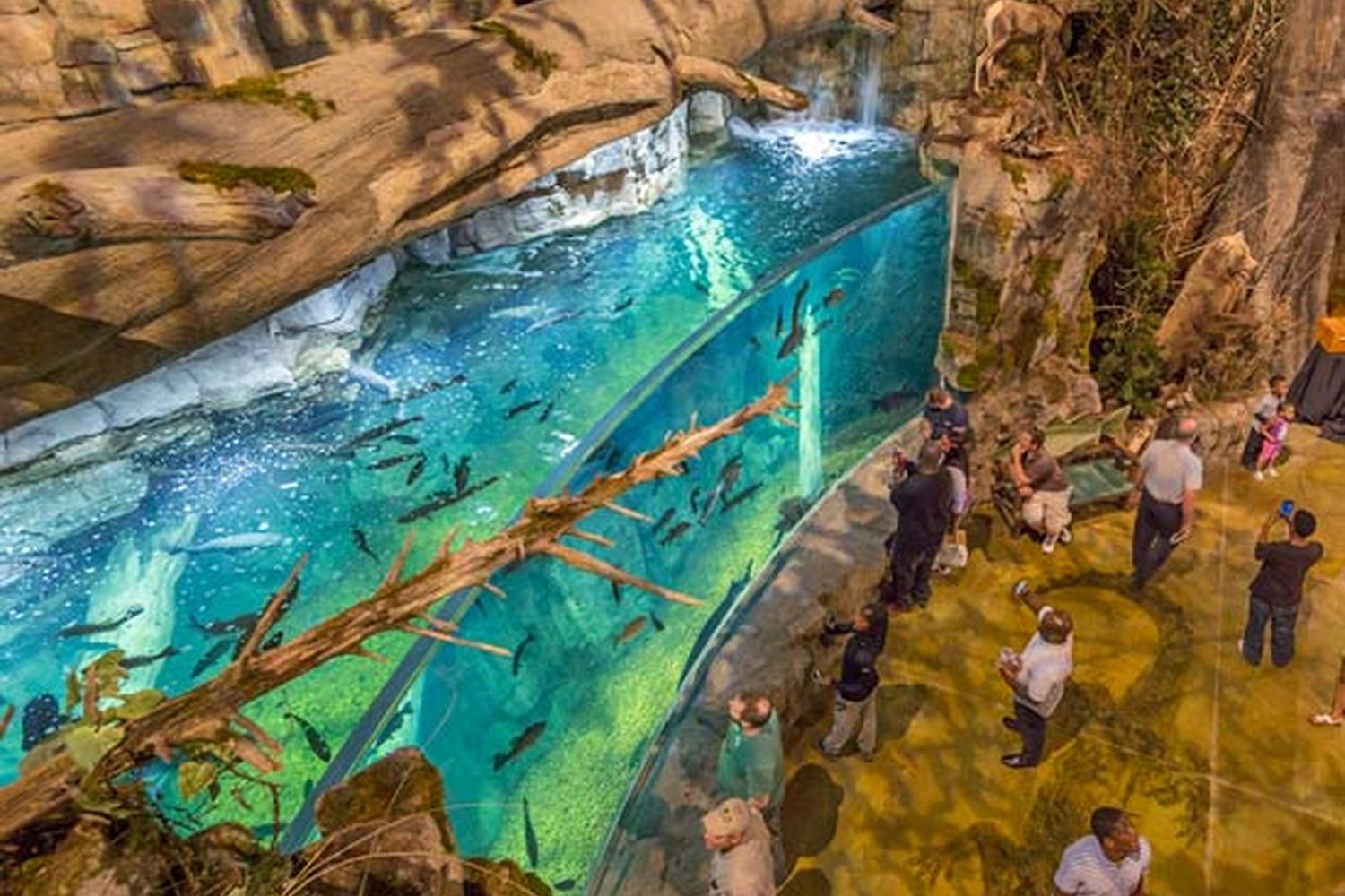 Bass Pro Shops Memphis Pyramid 4