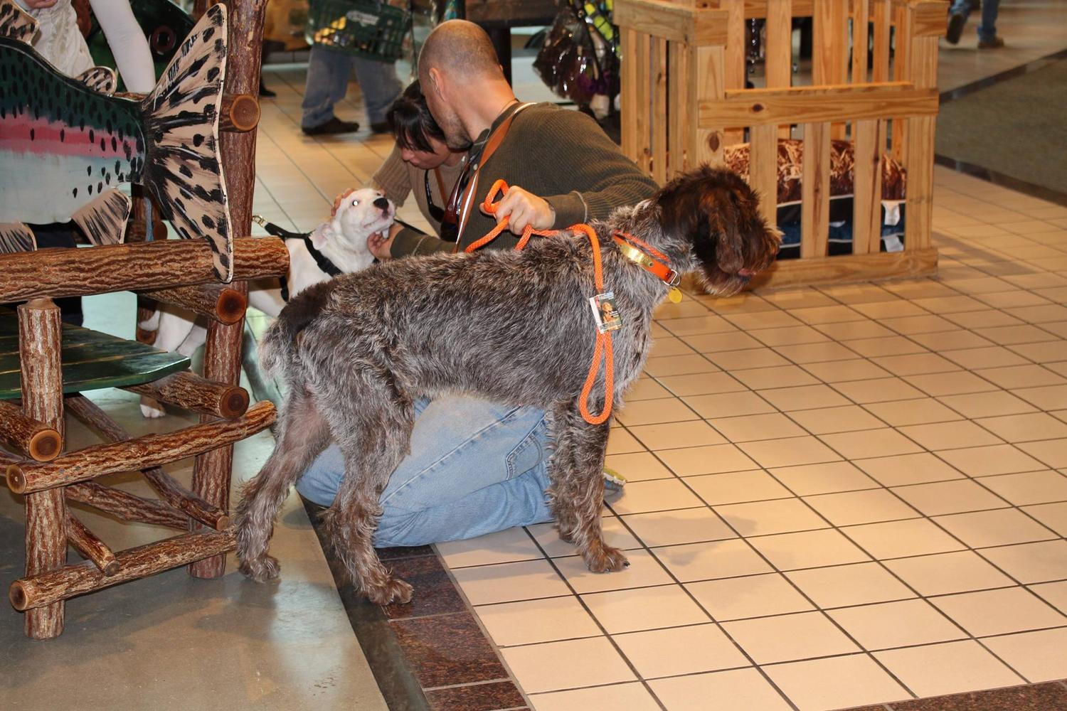 Bass Pro Shops 2