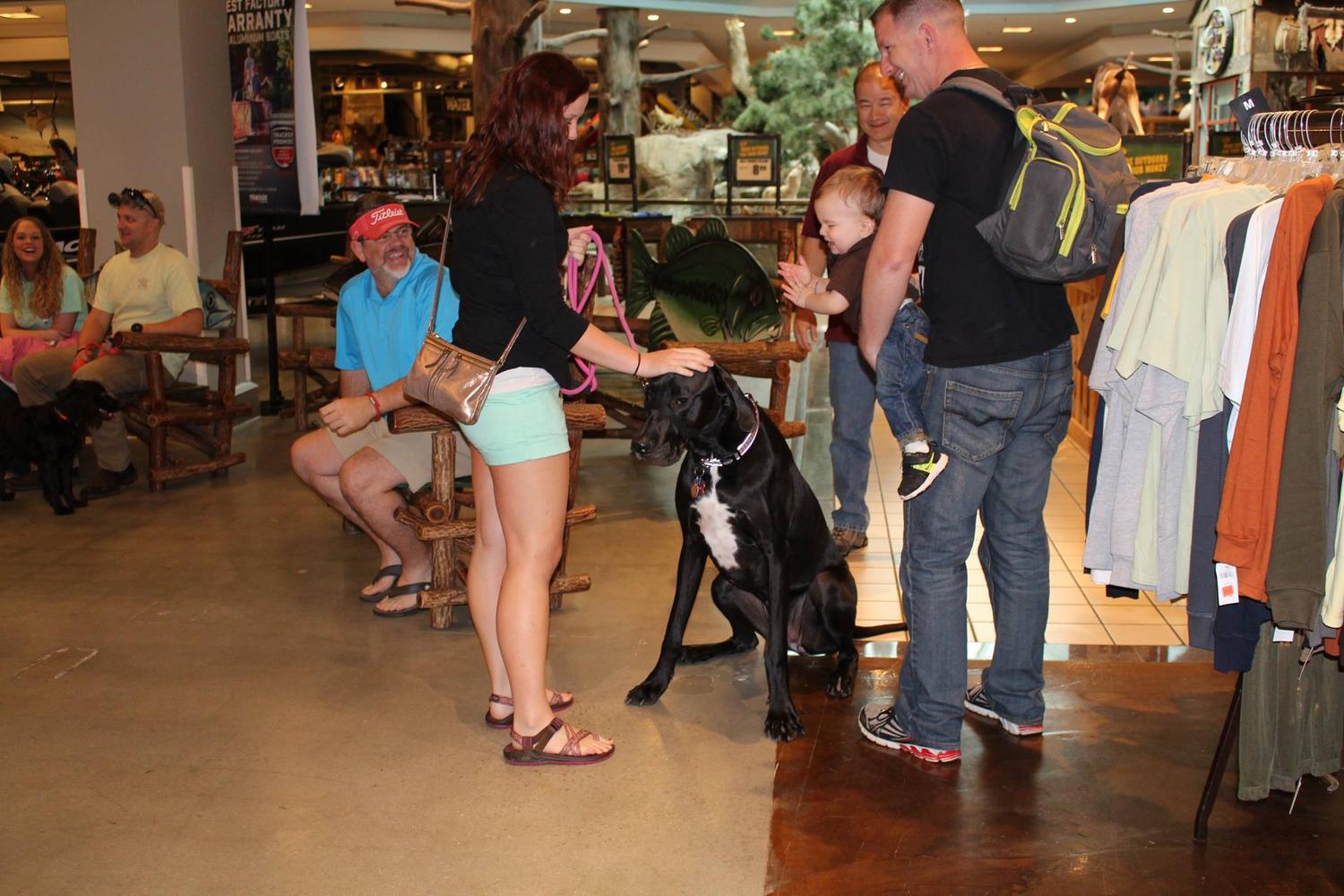 Bass Pro Shops 1