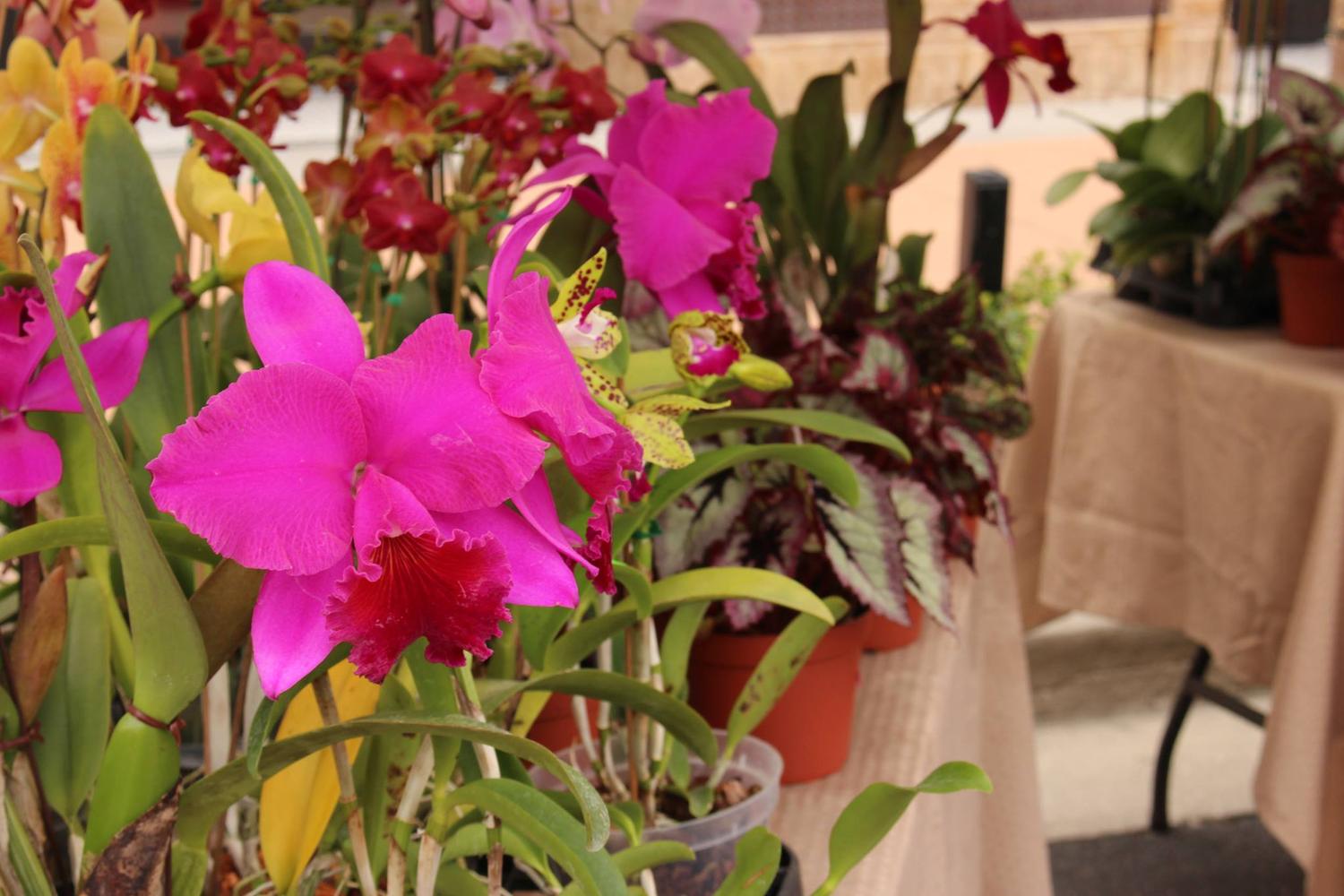 The Shops at Wiregrass 5