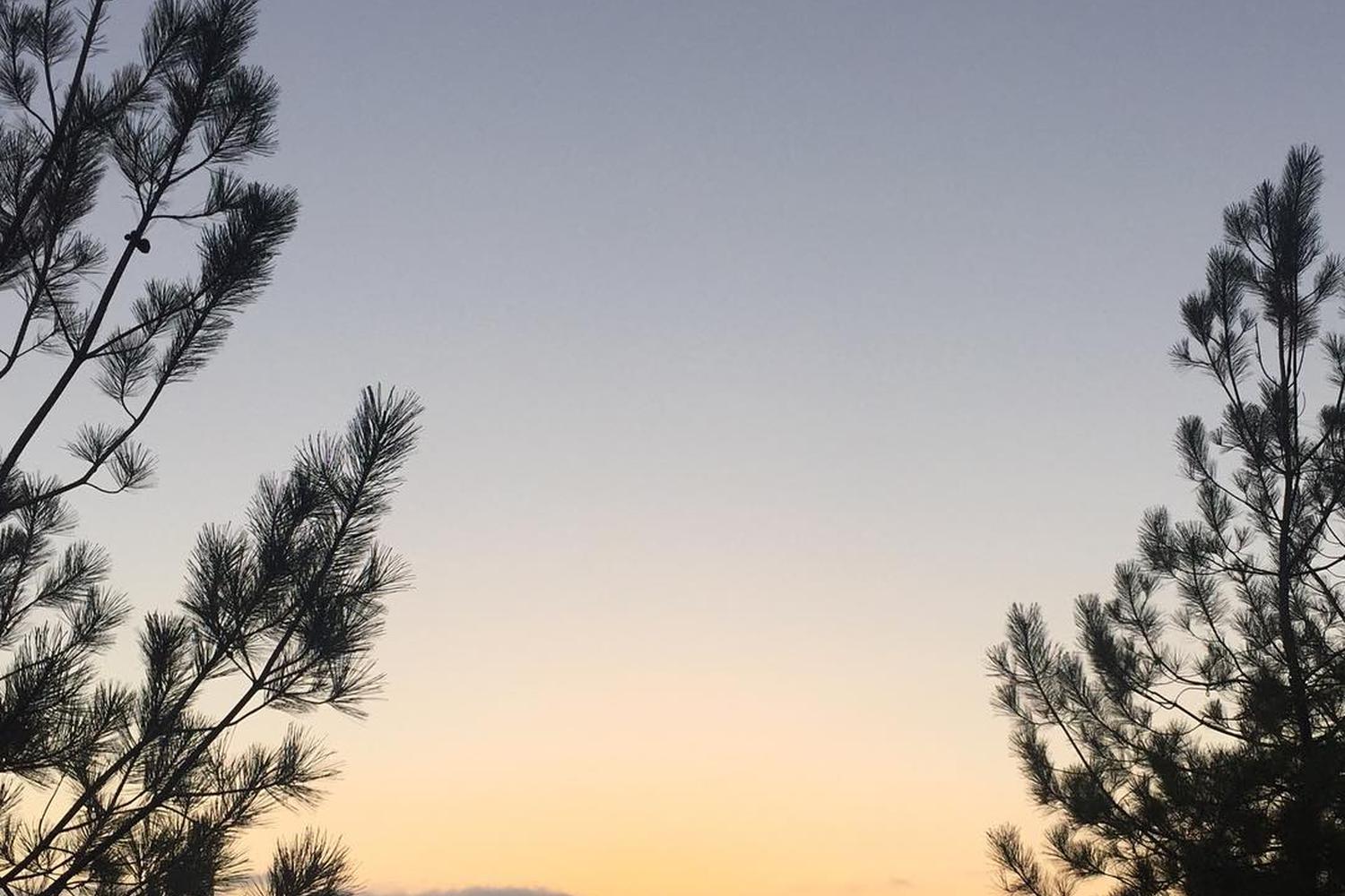 Sunset Park  2