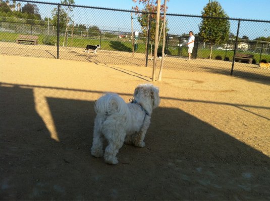 Sunset Park  7