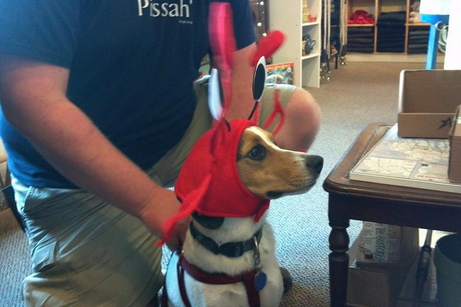 Sea Dawg Gift Shop 3