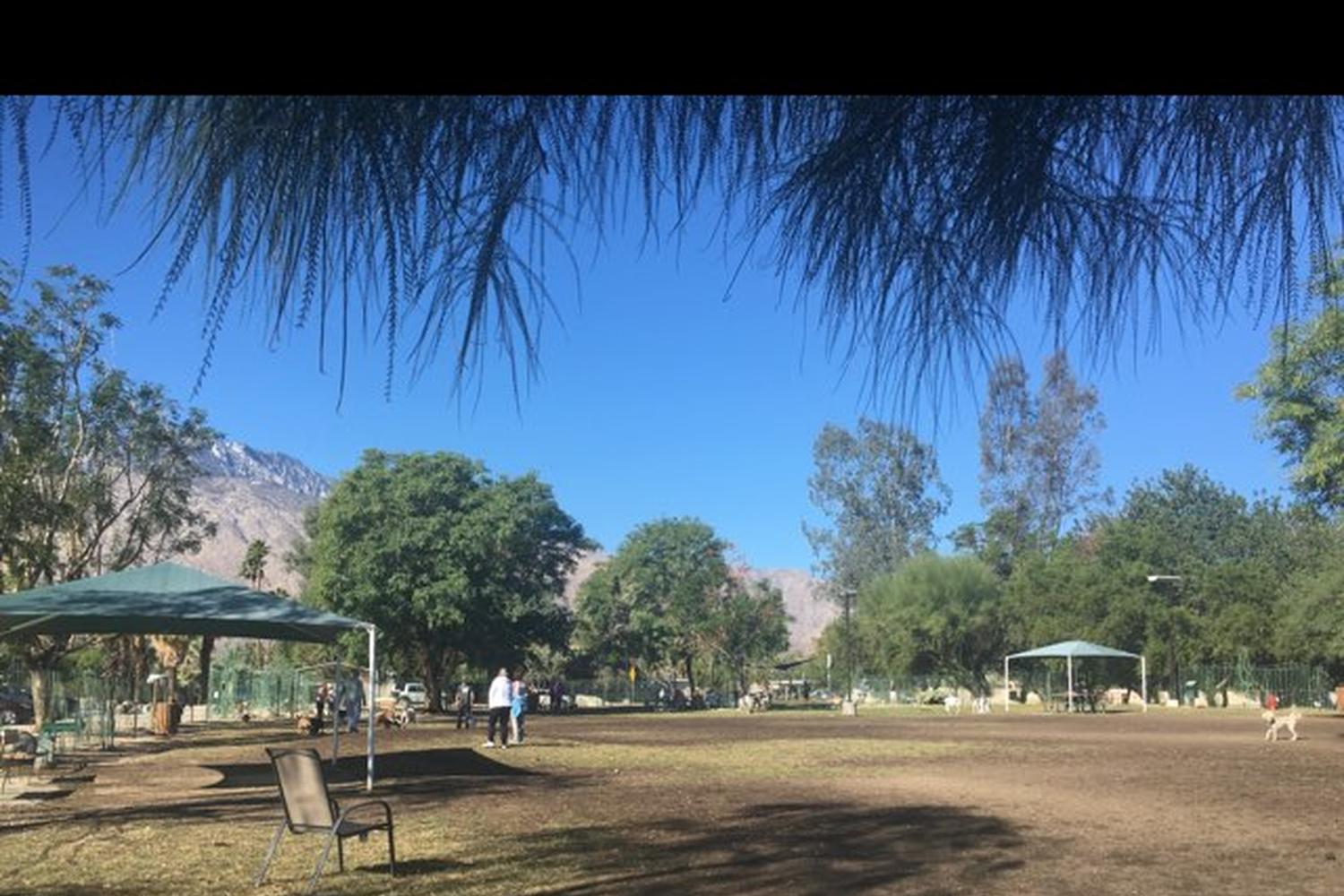 Palm Springs Dog Park 0