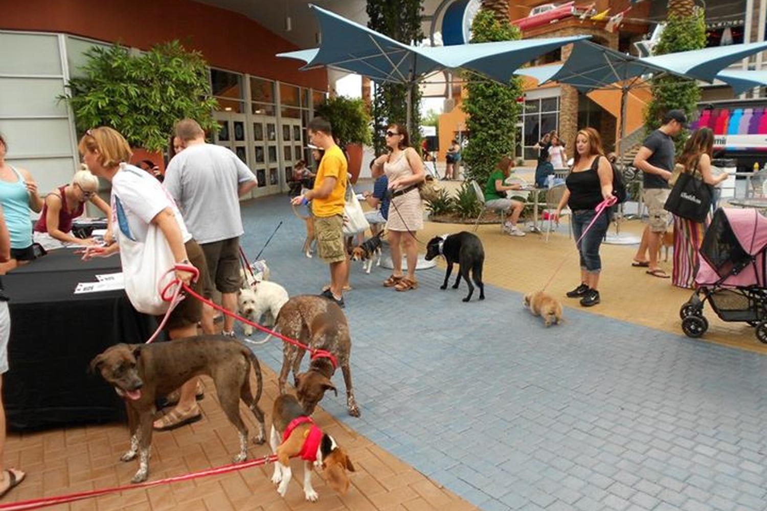 Tempe Marketplace 0