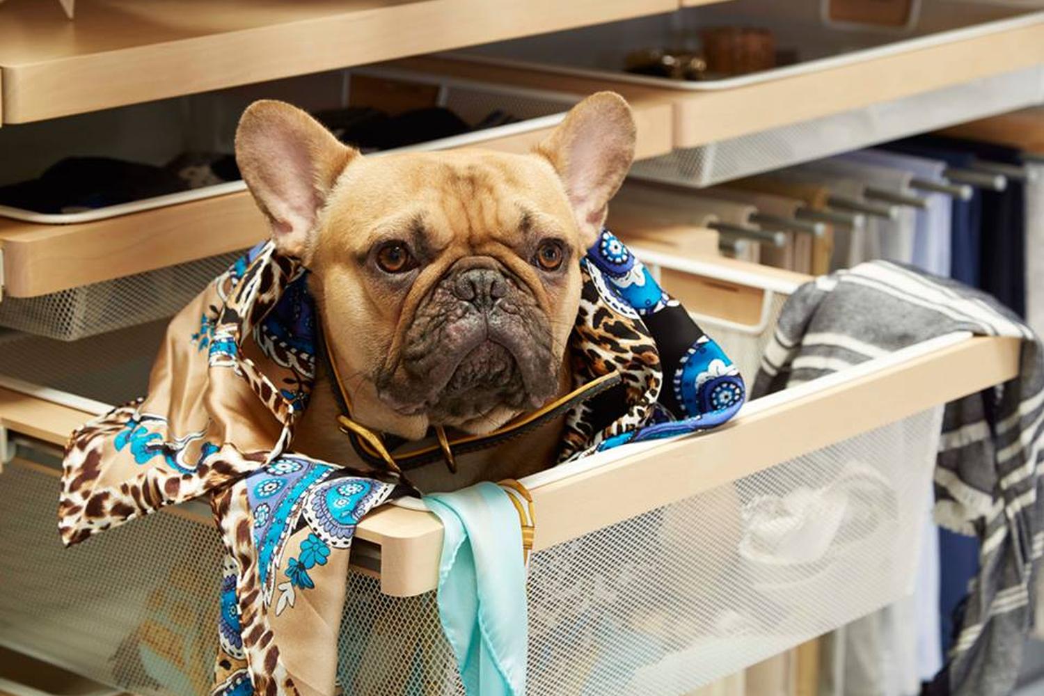 The Container Store 3