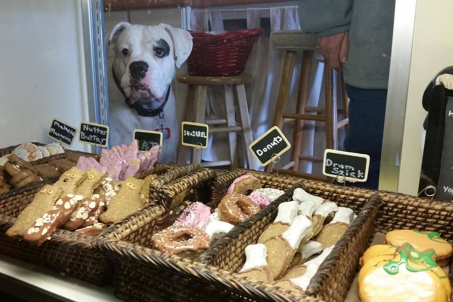 Smoky Mountain Dog Bakery 1