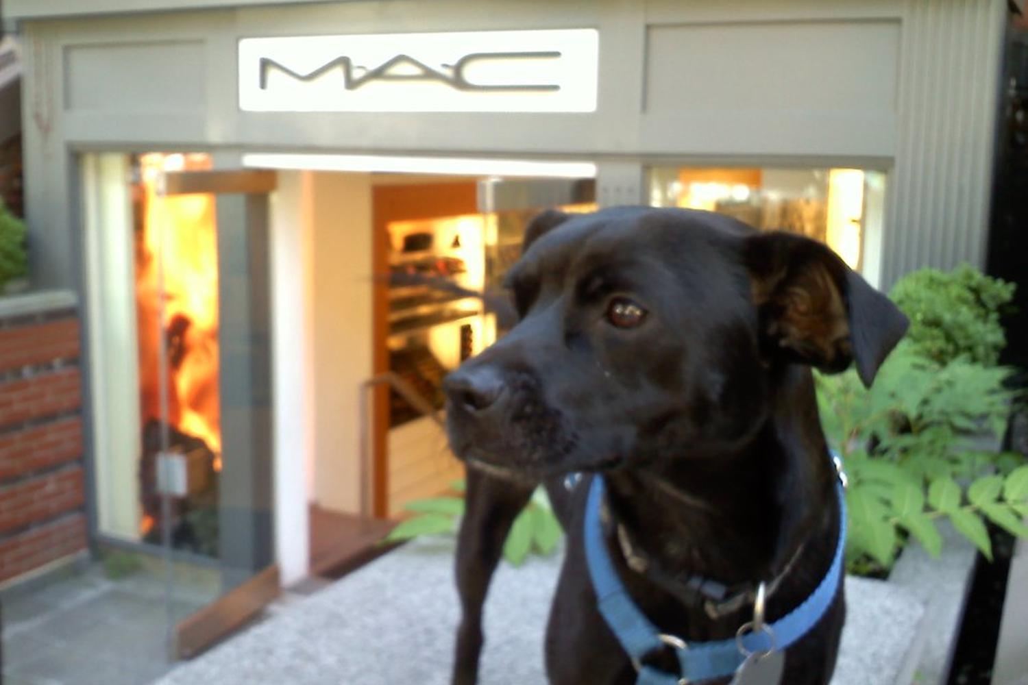 MAC Cosmetics 0