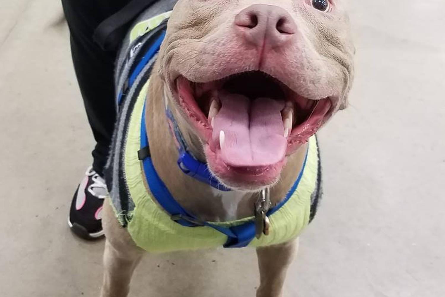 Lowe's Home Improvement 0