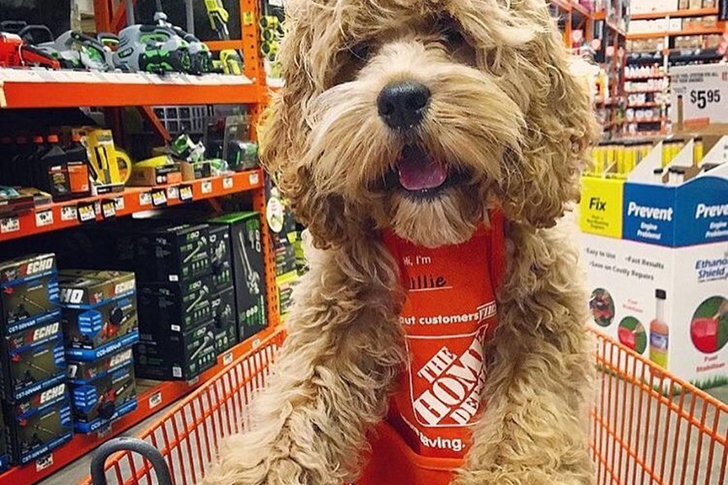 The Home Depot 5