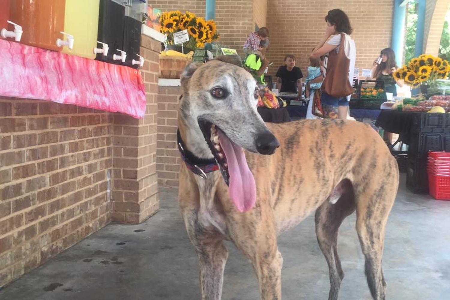 HOPE Farmers Market 6